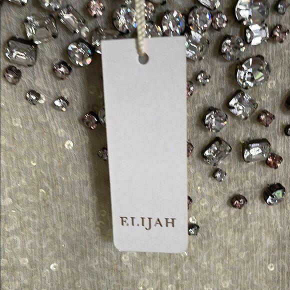 Elijah Cream Crystal and sequin embellished Sleeveless Silk shift Dress NWT - Picture 11 of 12